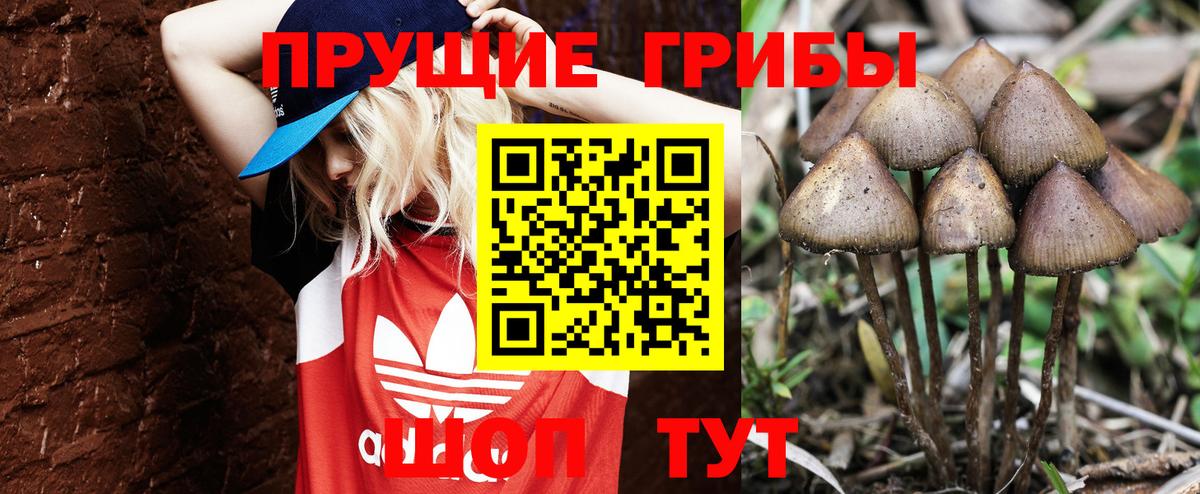 Псилоцибиновые грибы Cubensis  Вход с VPN  Псилоцибиновые грибы мицелий  Сафоново 